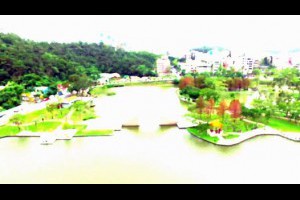 內湖大湖公園唐老鴨媽媽的家蜻蜓點水Inspire1拜訪白鷺鷥小姐候鳥基地拱橋依然那麼美