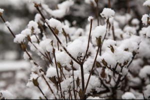 【戶外百科】霰、雪、霜、霧淞、冰雹，怎麼分？ | 健行筆記