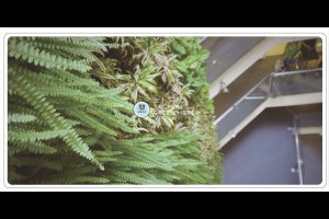 台中逢甲住宿小清新[葉綠宿旅館]GREEN HOTEL @ ★★★★布萊美旅團★★★★ (咖啡、美食、建築、設計、旅行) :: 痞客邦 PIXNET ::