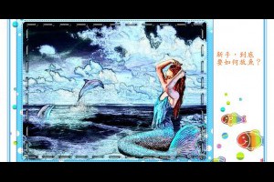  風雲海: 《開心水族箱》新手，到底要如何放魚？讓自己喜悅，也讓魚友喜悅。 