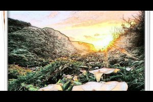  風雲海: 《心靈星月》「當你記起來你就是神」，這是在說，你是神所創造的「靈性與聖子的身分」。於是，你與神無異。 