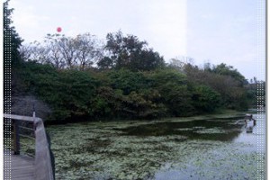 ◎高雄餐廳◎高雄餐廳美食│高雄好吃火鍋餐廳│高雄聚餐餐廳↑高雄好吃主題餐廳↓高雄同學會就在好吃的火鍋主題餐廳,附近風景好氣氛佳的高雄聚餐好所在~@Sherrys美食blog::痞客邦PIXNET::