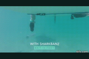 生活技.net: 可以擊退鯊魚的智能手環 - Sharkbanz Seafoam