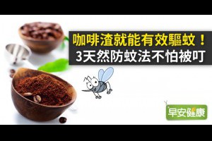 早安健康｜咖啡渣就能有效驅蚊！3天然防蚊法不怕被叮