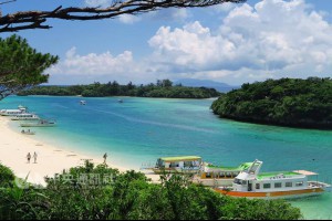 暑假出國慎選 觀光局公布問題旅行社【內有名單】