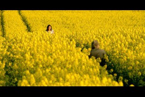 馬鈴薯看電影: 渥蘭德三部曲（Wallander，維蘭德）