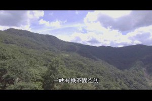 天然鳥聲空の撮影新北三峽滿月圓山林之旅三峽有機茶葉大寮茶文館熊空茶園空拍素材빈촬영사진