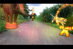 circus動畫3D馬戲團大象表演老虎跳火圈AR效果サーカス立體感趣味十足서커스
