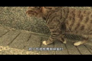 親子旅遊推薦猴硐貓村瑞芳景點推薦貓咪的故鄉小叮噹KITTY好朋友必走的行程