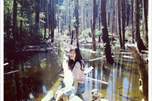 【南投遊】IG熱門景點忘憂森林 南投景點 人間仙境 @ 愛麗絲絲絲絲的夢遊小仙境 :: 痞客邦 PIXNET ::