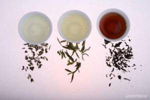孫紅茶行 Sun Home Tea - 動態時報 | Facebook