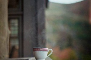 孫紅茶行 Sun Home Tea - 動態時報 | Facebook