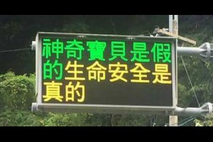 神奇寶貝是假的，生命安全是真的
