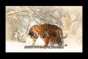 純音樂四字洪名阿彌陀佛聖號持名念佛佛曲音樂三寶歌高雄淨宗學會