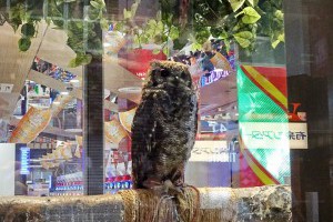 狸小路商店街 | 北海道札幌市中央區 – 認真過生活
