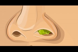 鼻屎其實是.....可以吃的！！而且還能.....，天啊那以後挖一挖就直接吃進去吧！？ LIFE生活網