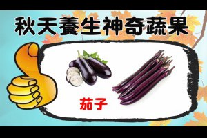 茄子可以清熱止血、消腫止痛！超神奇的3種蔬果大公開，秋天就靠它們排毒養生...（內附創意料理食譜）