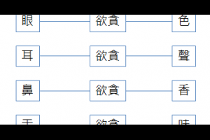 [讀經筆記] 雜阿含卷二十一第 572 經 - 非眼繫色，非色繫眼，然中間有欲貪者，隨彼繫也 @ 佛法之探究與實踐