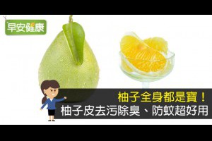 柚子全身都是寶！柚子皮去污除臭、防蚊超好用 | 蚊蟲叮咬 | 檸檬皮 |www.everydayhealth.com.tw 早安健康