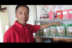 孫紅茶行 Sun Home Tea - 動態時報 | Facebook