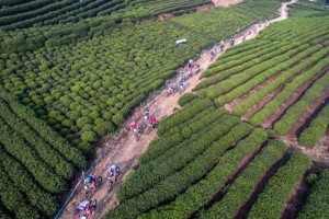 孫紅茶行 Sun Home Tea - 動態時報 | Facebook