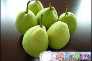 冬季吃什麼水果最養生 - 媽咪學堂