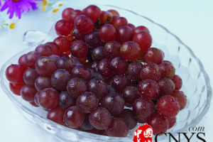 冬季吃什麼水果好 這九種水果最養生-健康養生網