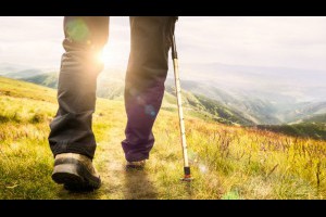 「爬山」是一帖良藥！罹癌後存活45年...台大醫師從坐輪椅到登上玉山的奇蹟 - 非讀BOOK - 養生 - 良醫健康網 - 商業周刊（百大良醫）