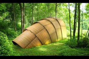 孫紅茶行 Sun Home Tea - 動態時報 | Facebook