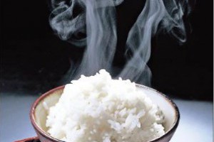 白米飯——垃圾食品之王 - 保健養生系列 - 月光仙子
