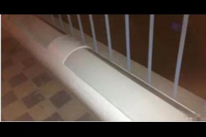 天哪！一根管子就能 生出全家人吃的菜！ 還不學起來!!! 