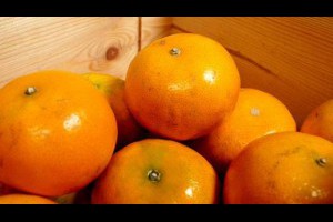 咳嗽分4種，別再傻傻吃烤橘子！乾咳吃香蕉、寒咳吃柳橙...一次告訴你水果食療法 - 台灣好食材 - 好食 - 良醫健康網 - 商業周刊（百大良醫）