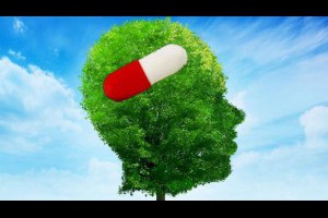 吃銀杏無效！無效！無效！預防失智症，到底要吃什麼？精神科醫師有解 - 精神科醫師們的看診室 - 新知 - 良醫健康網 - 商業周刊（百大良醫）