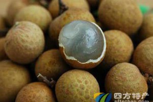 「這一物」泡水喝，近視從800度降到200度！失眠者連喝七日痊癒！99%人都沒搞懂的正確煮法！