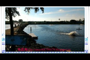  風雲海: 【心靈塗鴉】《魚塭風光》隨手拍拍！#虱目魚塭 