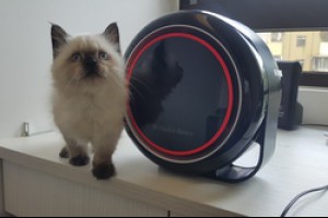 醫生我的月經怎麼會有血塊 @ 林正權的部落格 :: 痞客邦 PIXNET ::