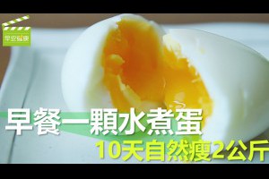 【早安健康】早餐一顆水煮蛋，10天自然瘦2公斤 (電鍋水煮蛋)