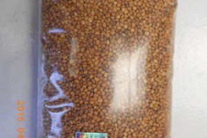 全自動有機芽菜機/有機芽菜箱/芽菜種子: 【蘿蔔蘡苜蓿芽蕃茄炒蛋】有機芽苗料理分享...蘿蔔,蘿蔔籽,蘿蔔嬰料理,葉蘿蔔料理,蘿蔔籽茶,葉用蘿蔔,蘿蔔子,葉蘿蔔食譜,蘿蔔種植方法,蘿蔔子功效