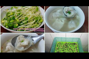 有機芽菜: 【向日葵花】苗大餛飩湯-有機芽菜創意食譜分享...葵花,葵花子,葵花籽,向日葵花圖片,向日葵花,向日葵,向日葵子,葵花寶典,巨無霸向日葵種子,葵花籽油