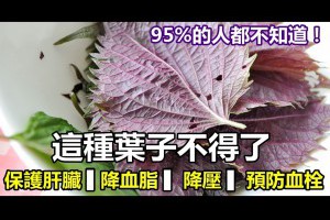這種葉子不得了，保護肝臟、降血脂、降壓、預防血栓和癌變！95人都不知道！ - YouTube