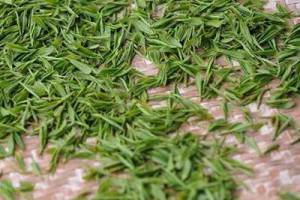 【孫紅的茶餘飯後】發酵和未發酵 哪種茶養生？你喜歡哪一種呢？... - 孫紅茶行 Sun Home Tea | Facebook