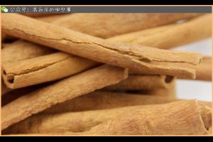 吃一菜如吃抗生素，好過紅黴素100倍 - 保健養生系列 - 月光仙子