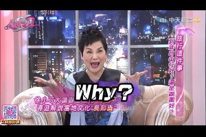 2016.08.09SS小燕之夜完整版　跟團？自助？旅行就是要這樣玩！