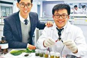 【孫紅30秒報世界】烏龍茶葉與菠菜製成染料敏化太陽能電池(全場歡呼)... - 孫紅茶行 Sun Home Tea | Facebook