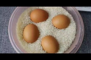 她把雞蛋放進大米裡，結果全家都驚呆了！沒想到竟然這麼神奇！