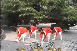 38節回春醫療保健操簡化版