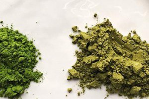 【孫紅的茶餘飯後】對製茶工藝的堅持與深入了解，造就了抹茶那一抹迷人的綠... - 孫紅茶行 Sun Home Tea | Facebook