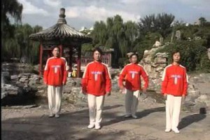 學做回春醫療保健操