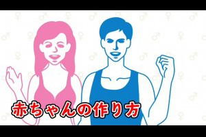 全年齢対象の、保健體育の授業です。