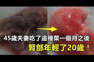 45歲夫妻吃了這種菜一個月之後，腎部年輕了20歲！不管男女，過了30一定要吃，效果驚人！ 